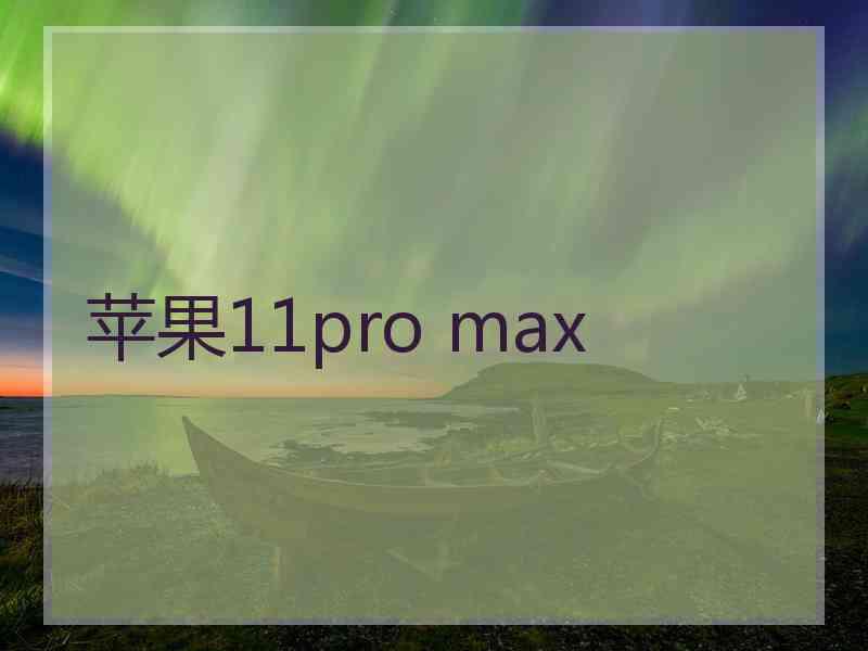 苹果11pro max