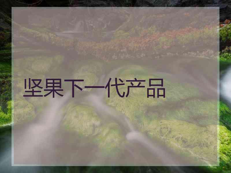 坚果下一代产品