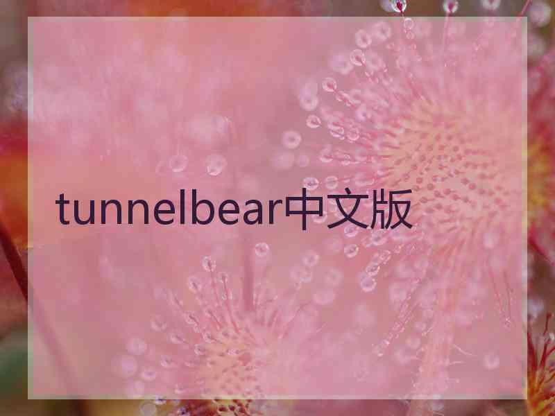 tunnelbear中文版