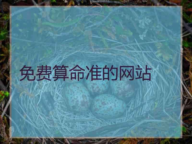 免费算命准的网站