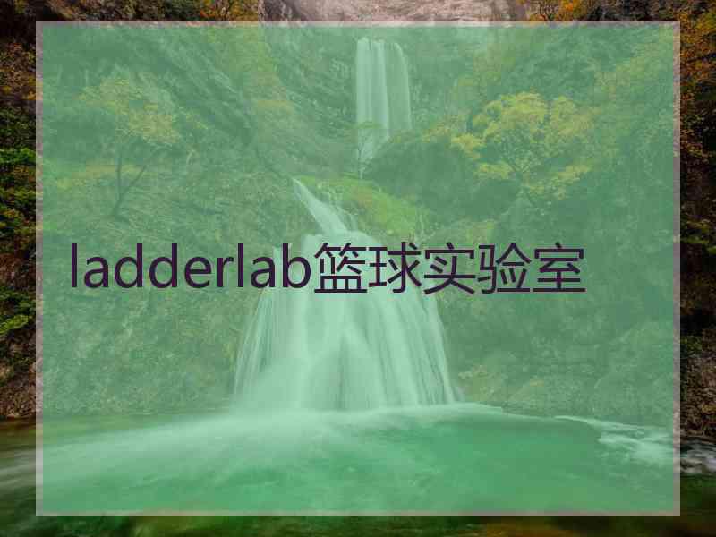 ladderlab篮球实验室