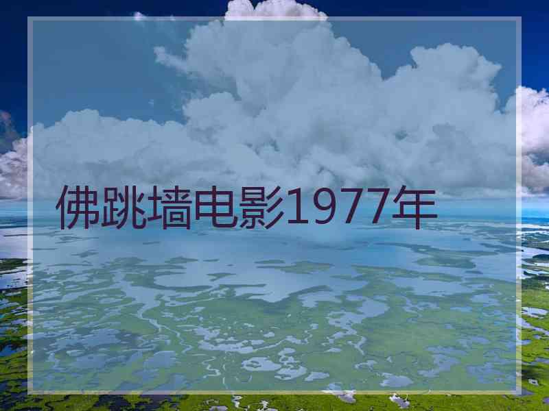 佛跳墙电影1977年