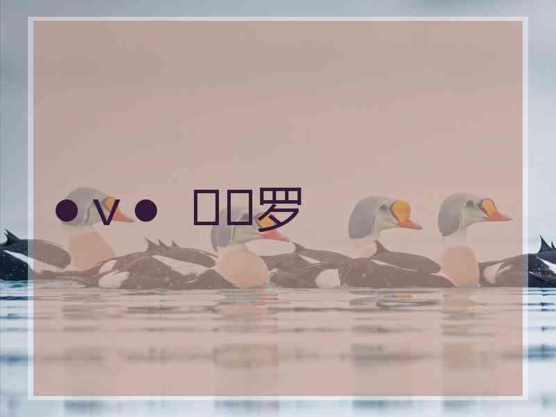 ●ｖ●  ≖✿罗