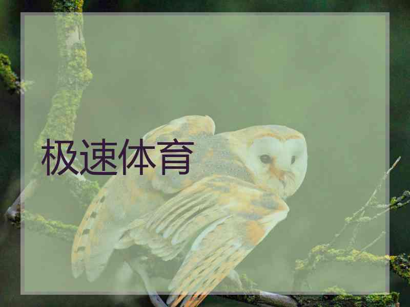 极速体育