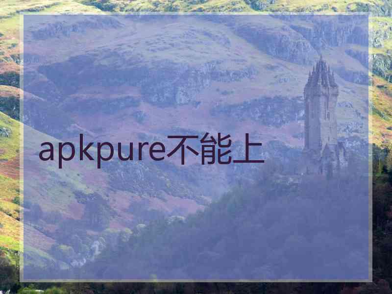 apkpure不能上