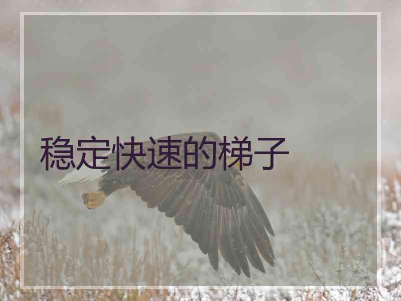 稳定快速的梯子