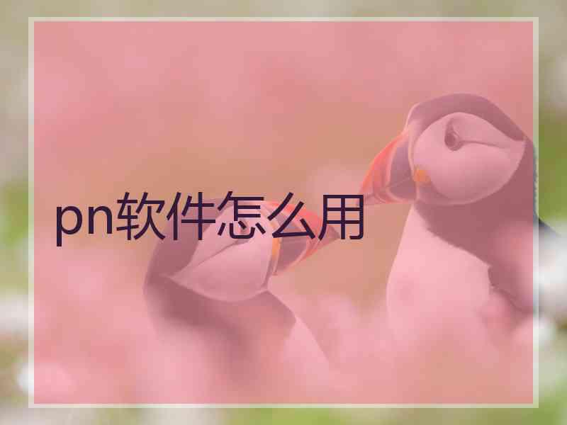 pn软件怎么用