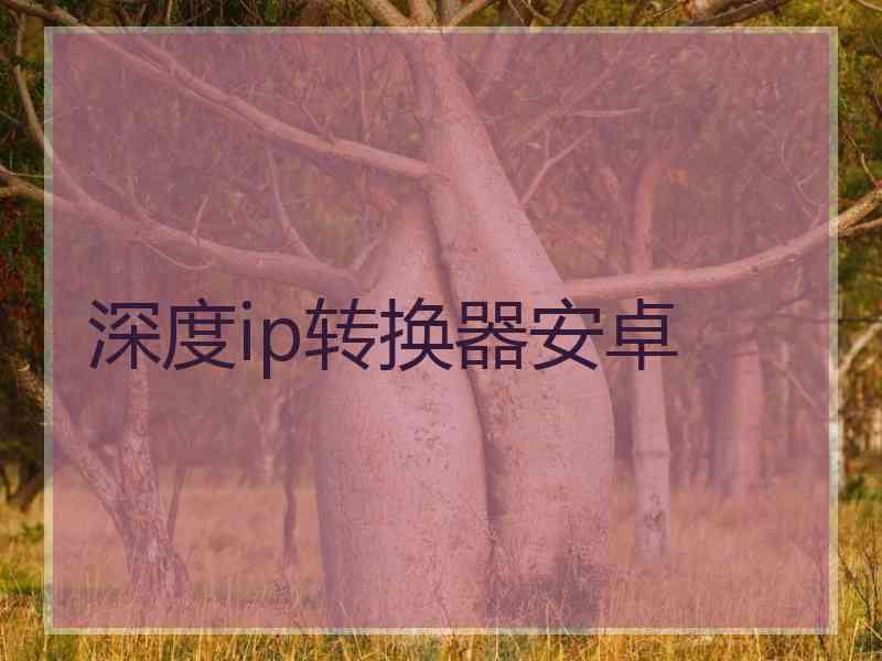 深度ip转换器安卓