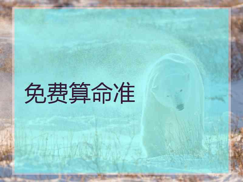 免费算命准