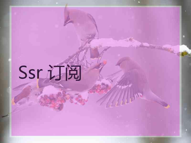 Ssr 订阅