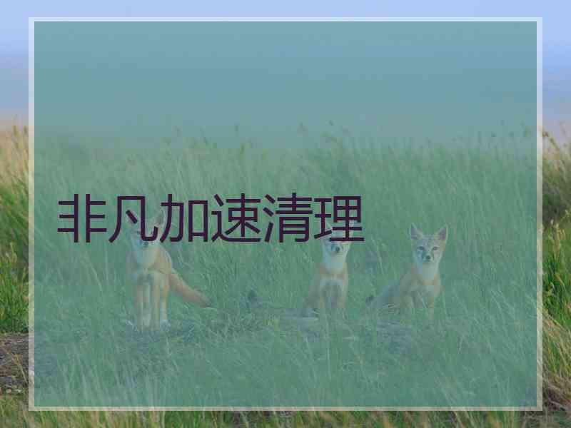 非凡加速清理