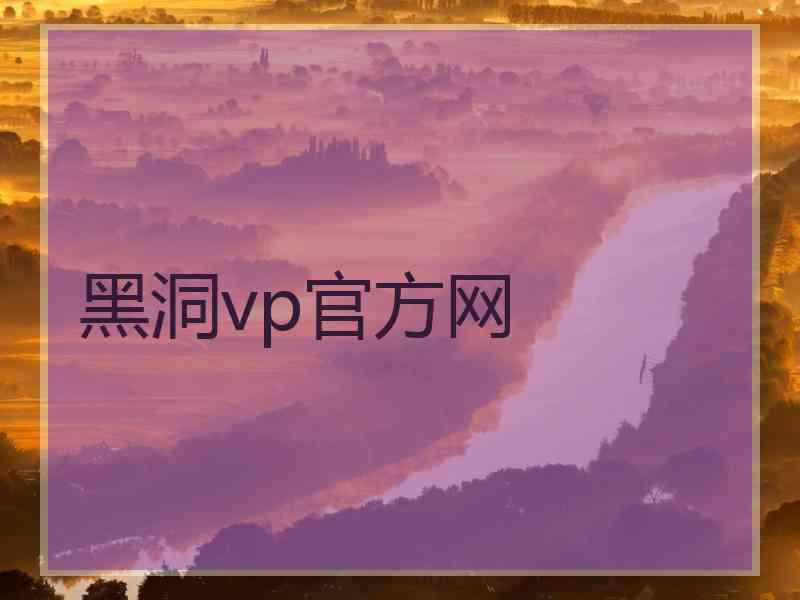 黑洞vp官方网
