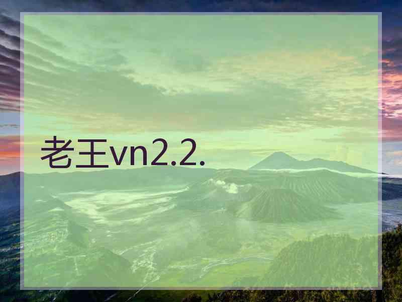 老王vn2.2.