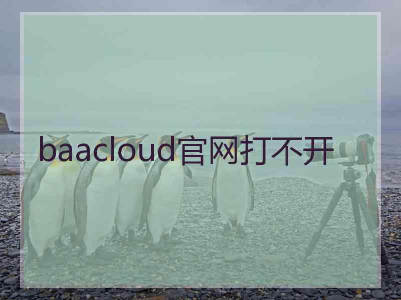 baacloud官网打不开