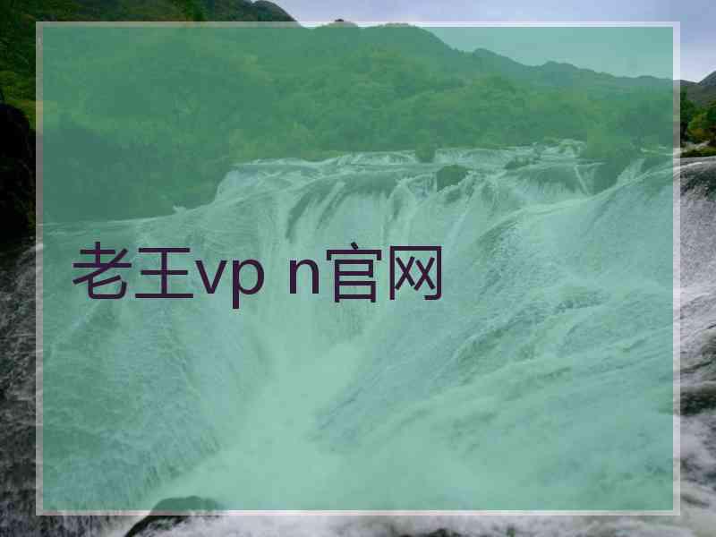 老王vp n官网