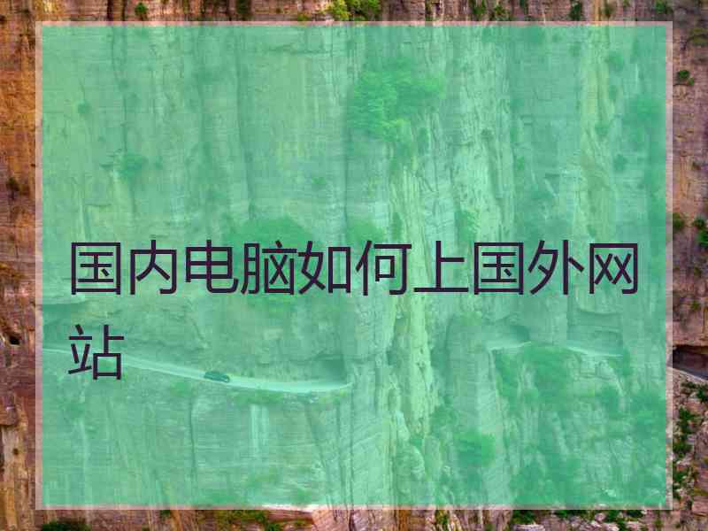 国内电脑如何上国外网站
