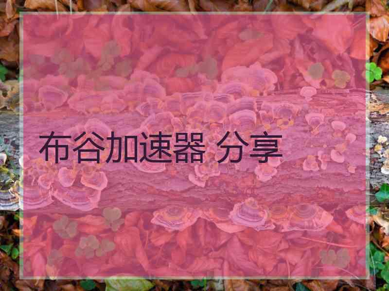 布谷加速器 分享