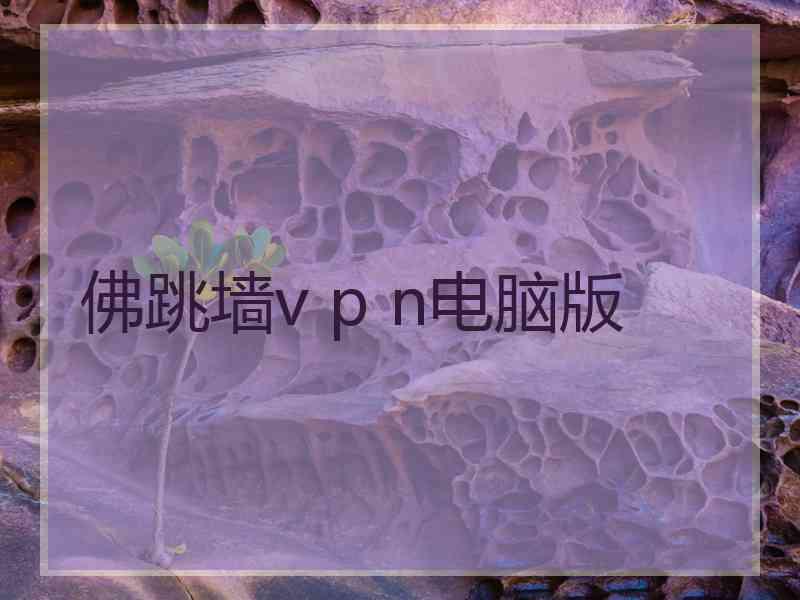 佛跳墙v p n电脑版