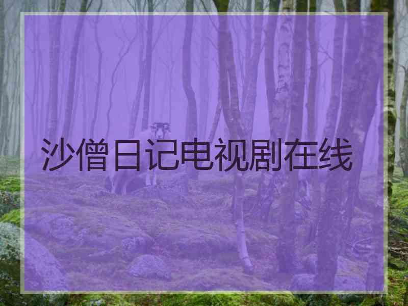 沙僧日记电视剧在线