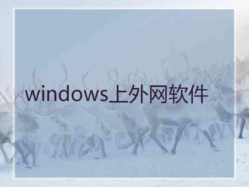 windows上外网软件