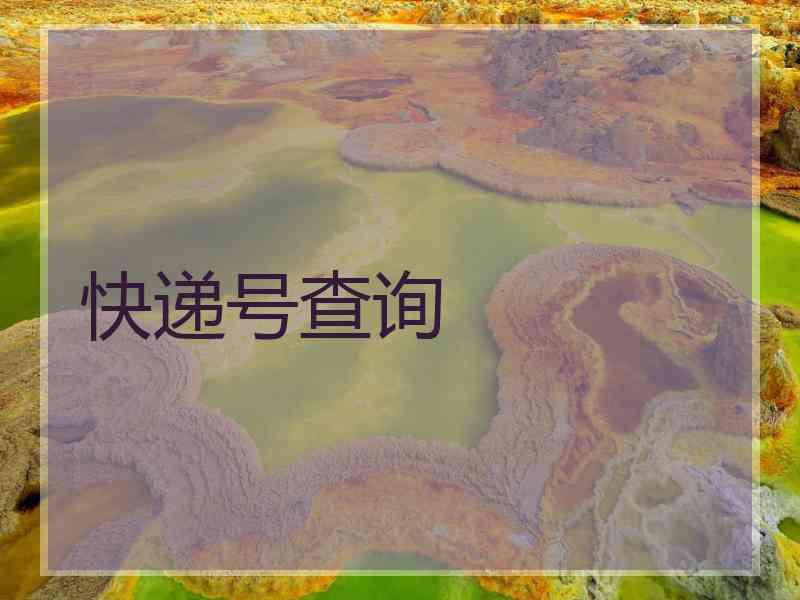 快递号查询