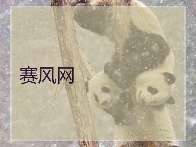 赛风网