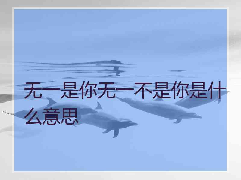 无一是你无一不是你是什么意思