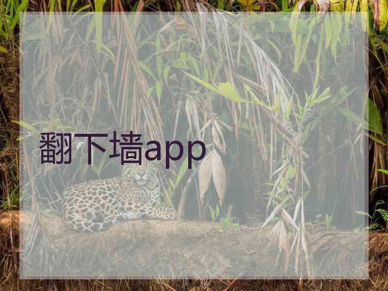 翻下墙app