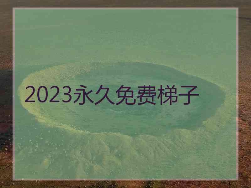 2023永久免费梯子