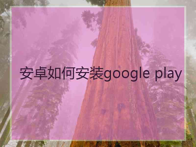 安卓如何安装google play