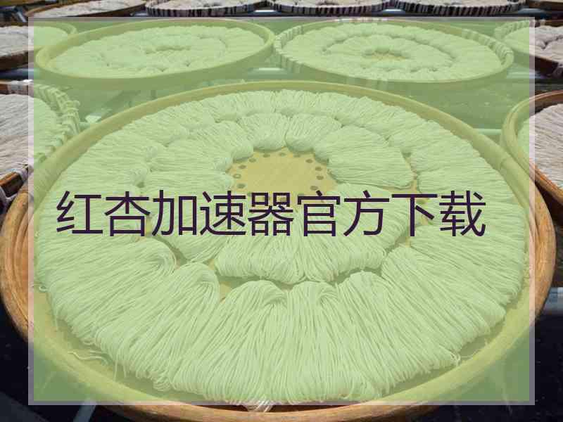 红杏加速器官方下载