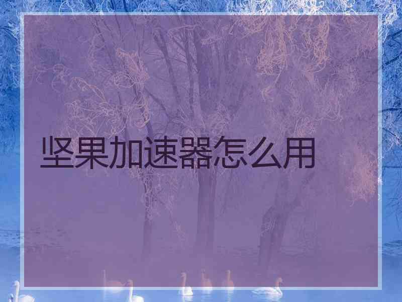 坚果加速器怎么用