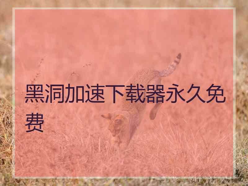 黑洞加速下载器永久免费