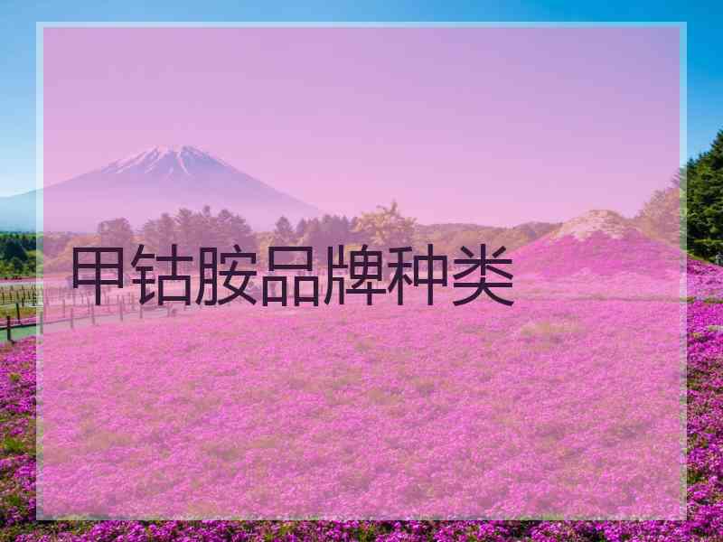甲钴胺品牌种类