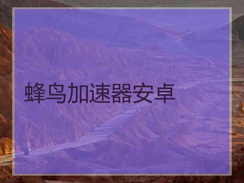 蜂鸟加速器安卓