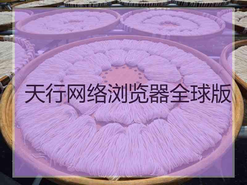 天行网络浏览器全球版