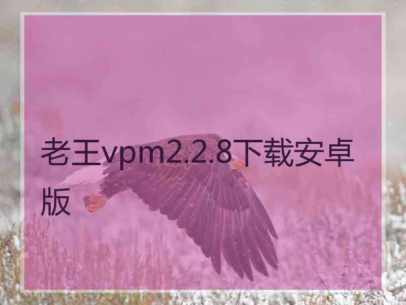 老王vpm2.2.8下载安卓版