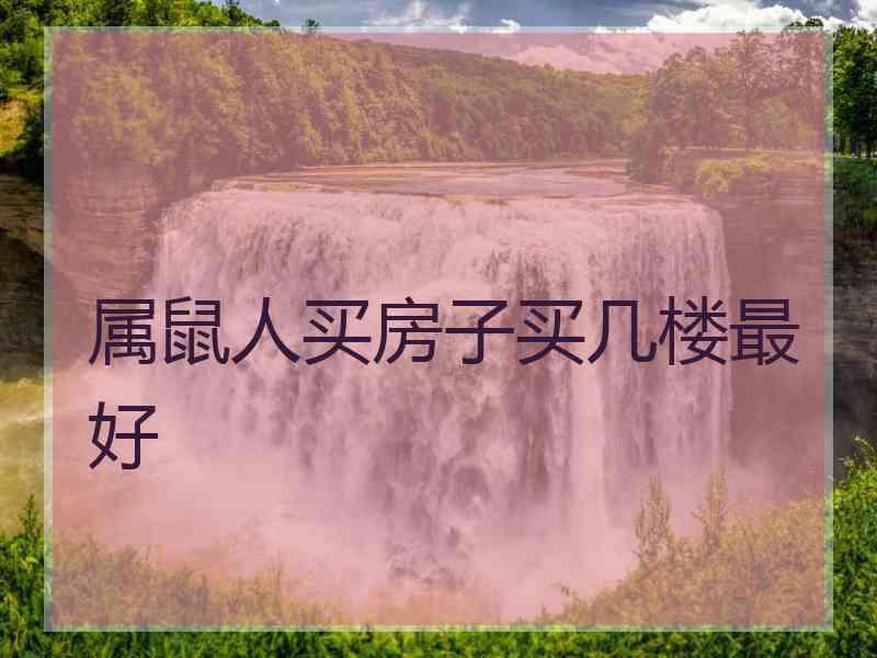 属鼠人买房子买几楼最好