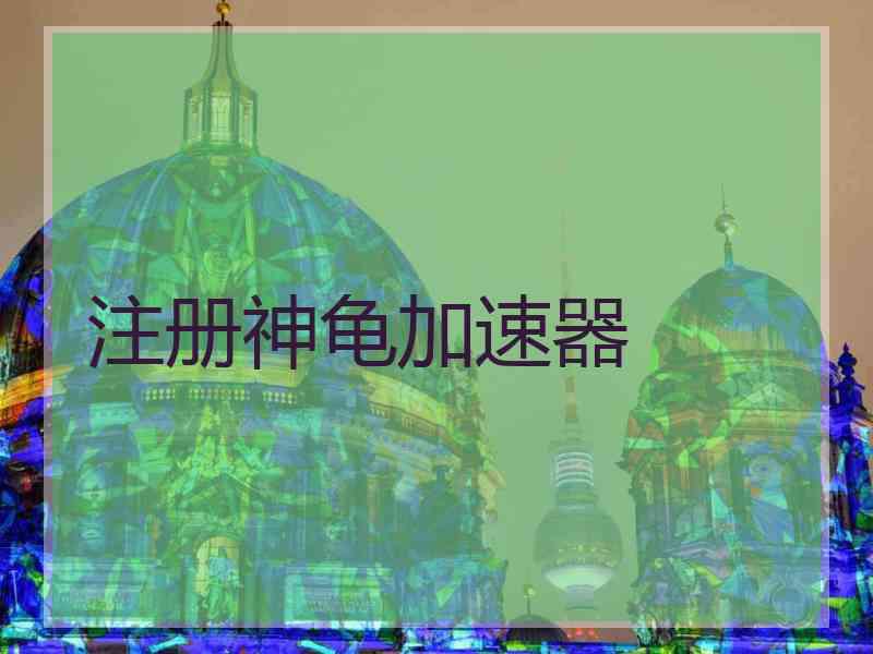 注册神龟加速器