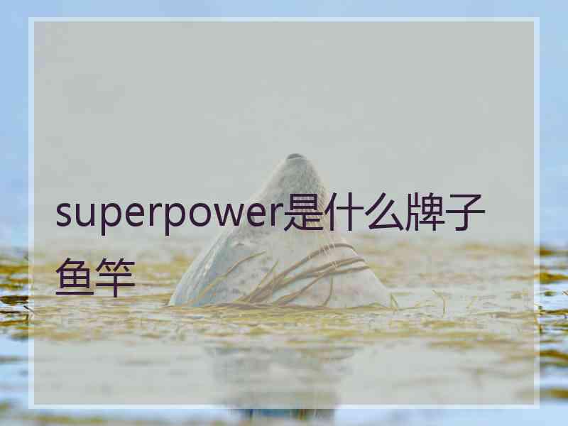superpower是什么牌子鱼竿