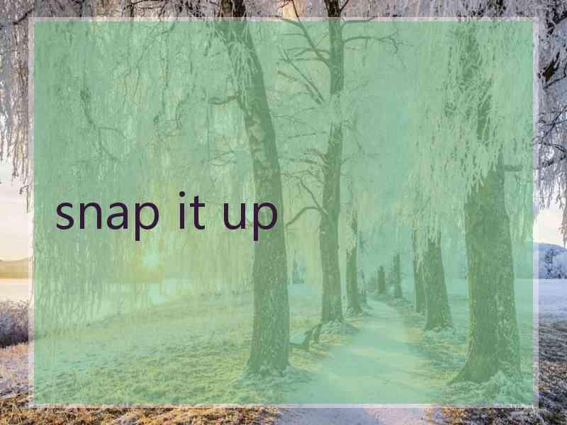 snap it up
