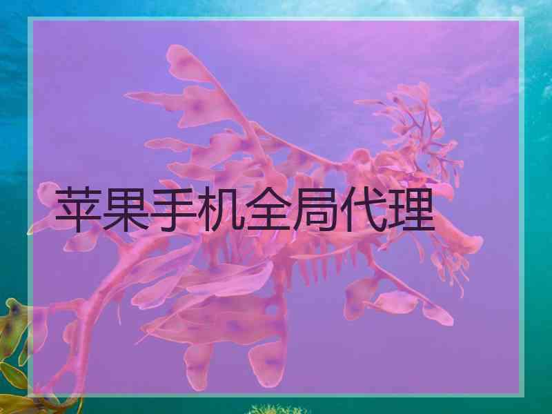 苹果手机全局代理