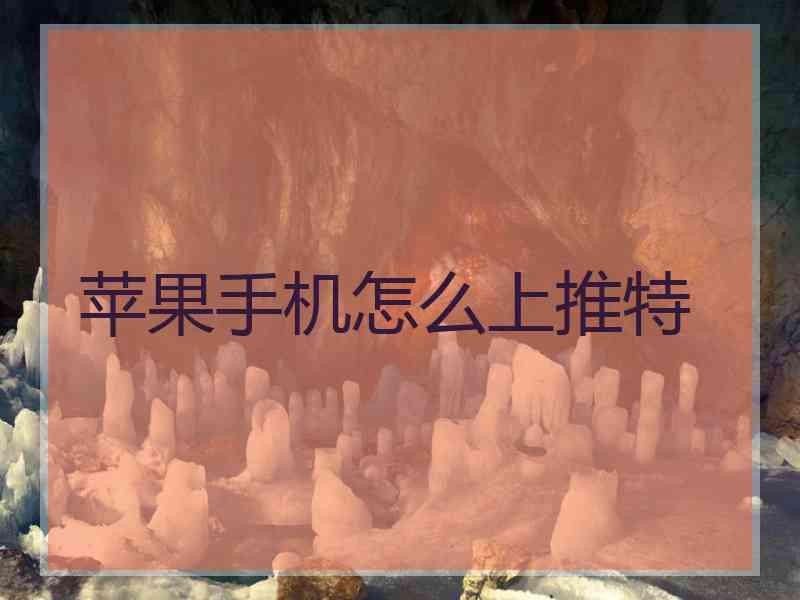 苹果手机怎么上推特