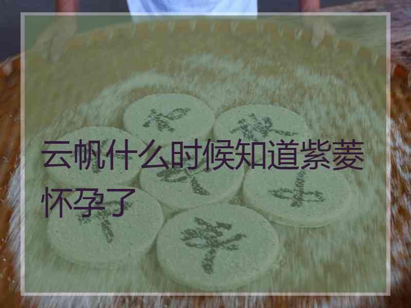 云帆什么时候知道紫菱怀孕了
