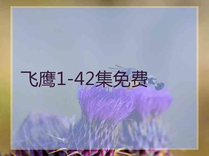 飞鹰1-42集免费