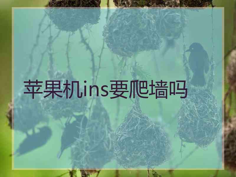 苹果机ins要爬墙吗
