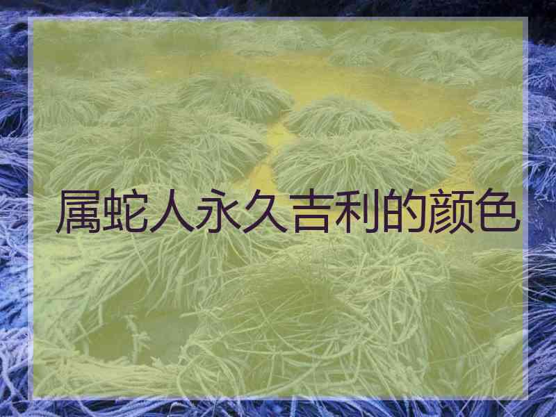 属蛇人永久吉利的颜色
