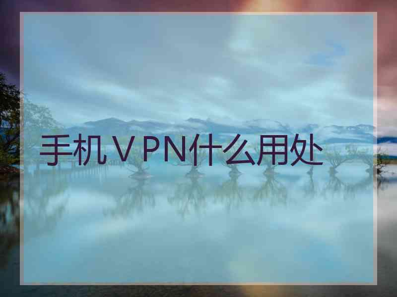 手机ⅤPN什么用处