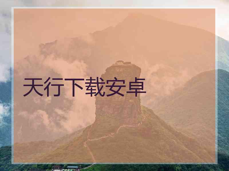 天行下载安卓