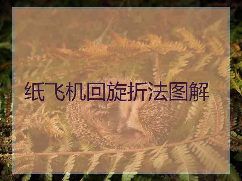 纸飞机回旋折法图解